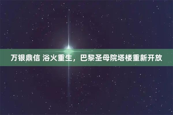 万银鼎信 浴火重生，巴黎圣母院塔楼重新开放