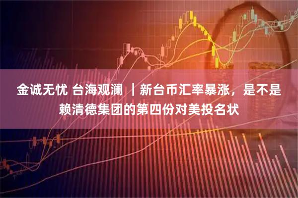 金诚无忧 台海观澜 ｜新台币汇率暴涨，是不是赖清德集团的第四份对美投名状