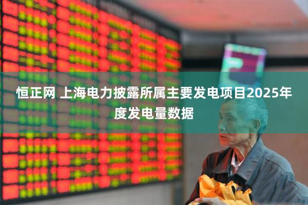 恒正网 上海电力披露所属主要发电项目2025年度发电量数据